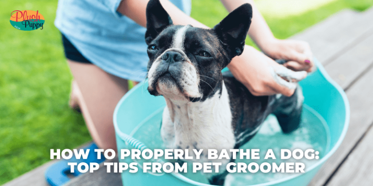 dog-conditioner-and-shampoo