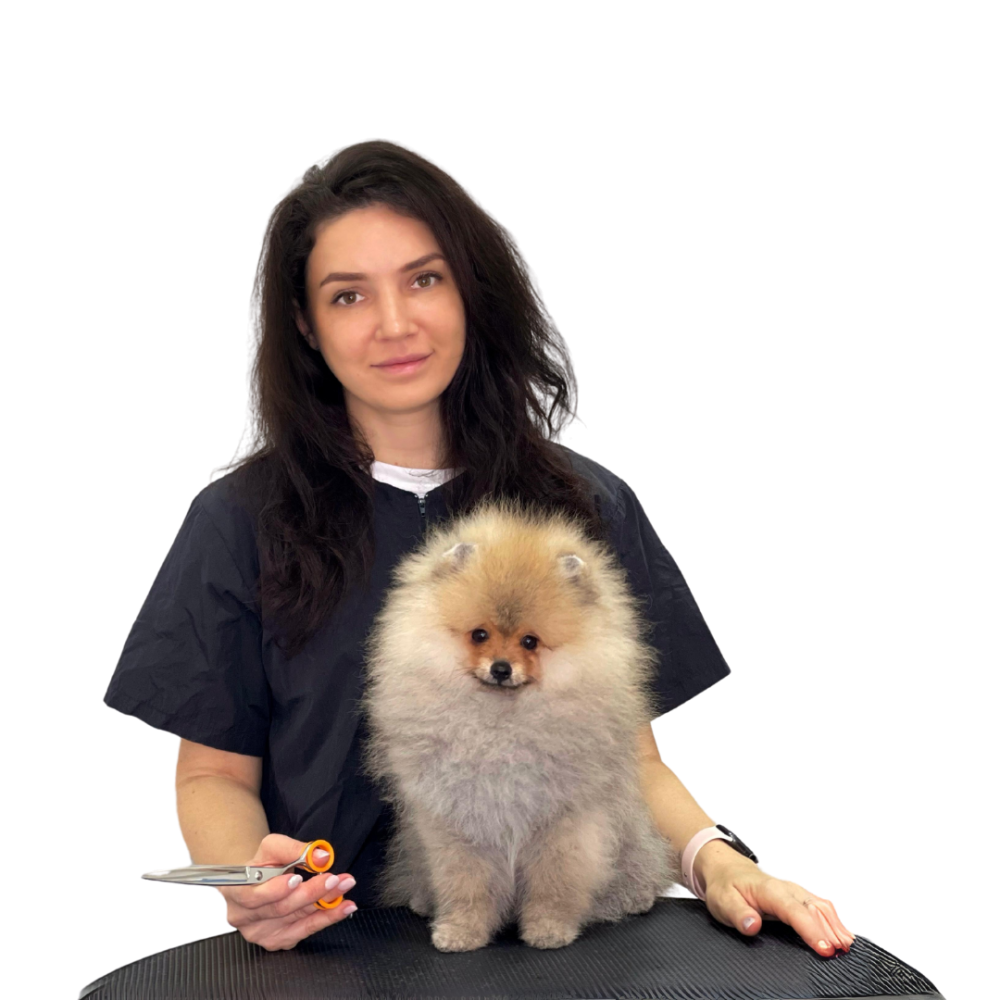 Untitled design (24)